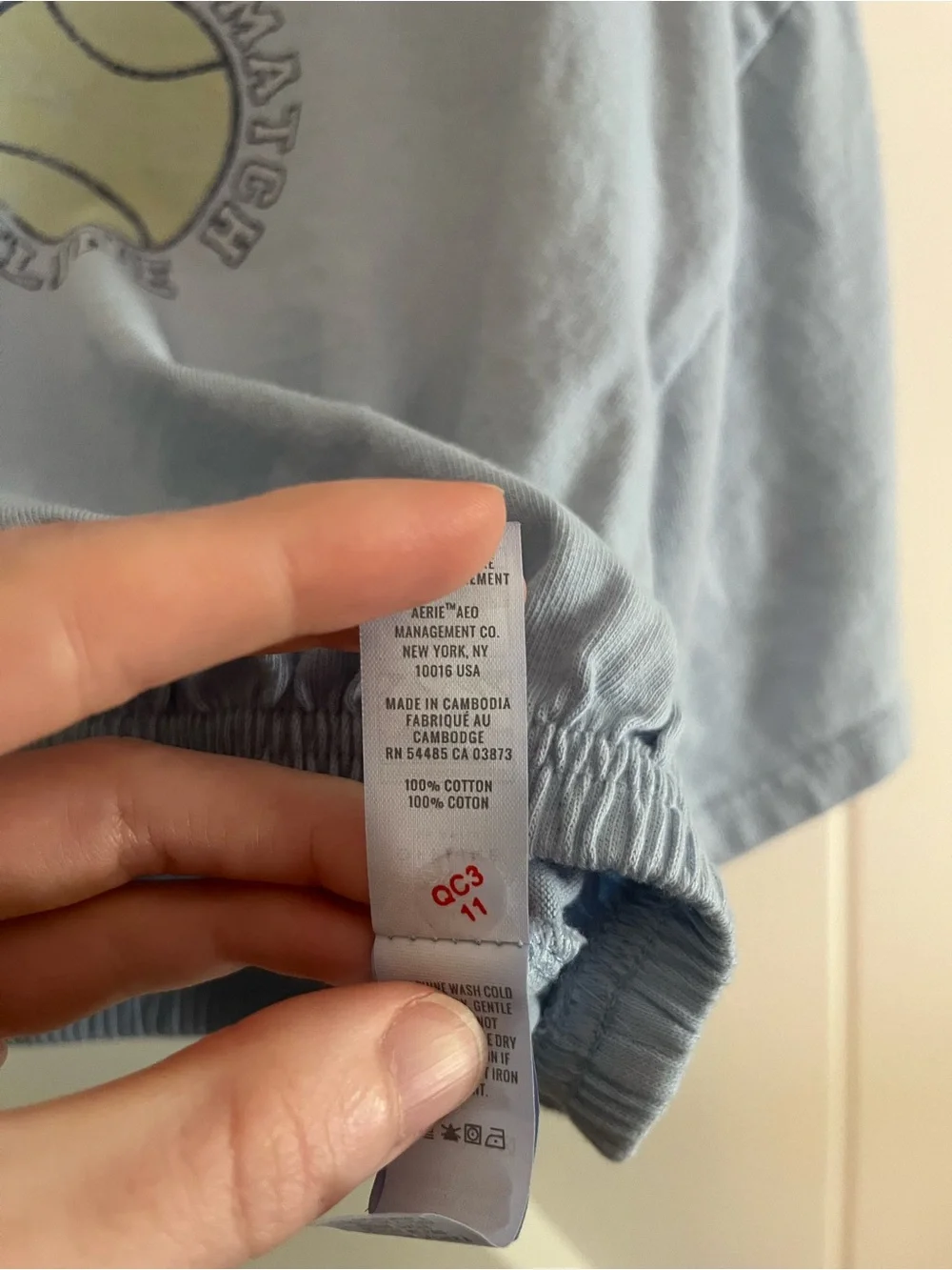 Aerie Cropped Graphic Tee